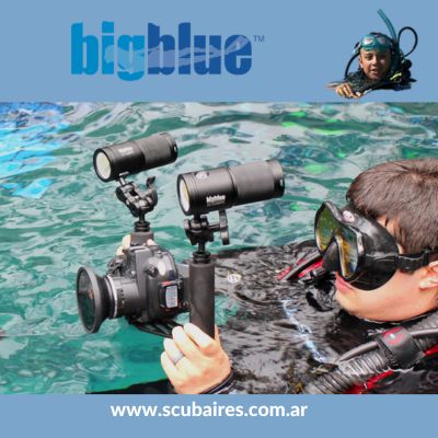 bigblue 2 cartel bigblue 2 cartel